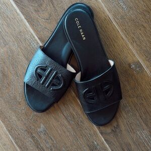 Cole Haan Women's Black Leather Sandals